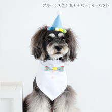 画像をギャラリービューアに読み込む, UCHINOKO/CANDY HEARTS