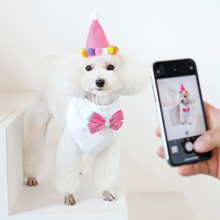 画像をギャラリービューアに読み込む, おめかしスタイ(リボン)&パーティー ハット