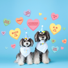 画像をギャラリービューアに読み込む, おめかしスタイ(リボン)&パーティー ハット