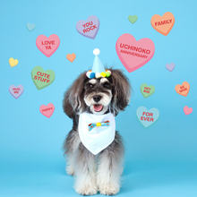 画像をギャラリービューアに読み込む, UCHINOKO/CANDY HEARTS