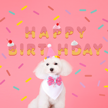 画像をギャラリービューアに読み込む, BIRTHDAY/CREAM