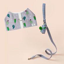 画像をギャラリービューアに読み込む, ハーネスベスト&リードセット(カクタスウィズユー)