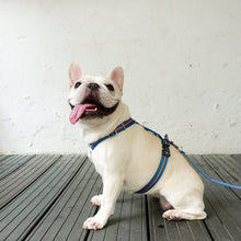 画像をギャラリービューアに読み込む, Strap Harness&Leash Set/ストラップハーネス&リードセット