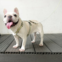 画像をギャラリービューアに読み込む, Strap Harness&Leash Set/ストラップハーネス&リードセット