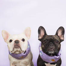 画像をギャラリービューアに読み込む, Good Morning! Cool Snood/グッドモーニングクールスヌード