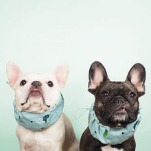 画像をギャラリービューアに読み込む, Cactus Summer Cool Snood/サボテンサマークールスヌード