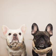 画像をギャラリービューアに読み込む, Frenchie Love Cool Snood/フレンチブルラブクールスヌード