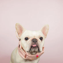 画像をギャラリービューアに読み込む, Ice Candy Time Cool Snood/アイスキャンディタイムクールスヌード