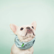 画像をギャラリービューアに読み込む, Cactus Summer Cool Snood/サボテンサマークールスヌード