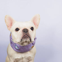 画像をギャラリービューアに読み込む, Good Morning! Cool Snood/グッドモーニングクールスヌード