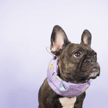 画像をギャラリービューアに読み込む, Good Morning! Cool Snood/グッドモーニングクールスヌード