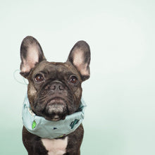 画像をギャラリービューアに読み込む, Cactus Summer Cool Snood/サボテンサマークールスヌード