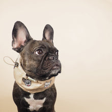 画像をギャラリービューアに読み込む, Frenchie Love Cool Snood/フレンチブルラブクールスヌード