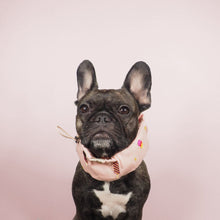 画像をギャラリービューアに読み込む, Ice Candy Time Cool Snood/アイスキャンディタイムクールスヌード