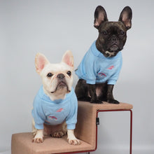 画像をギャラリービューアに読み込む, Into the Sky/イントゥザスカイ