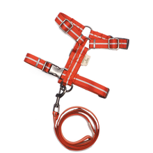 画像をギャラリービューアに読み込む, Strap Harness&Leash Set/ストラップハーネス&リードセット