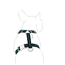 画像をギャラリービューアに読み込む, Strap Harness&Leash Set/ストラップハーネス&リードセット