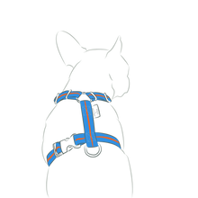 画像をギャラリービューアに読み込む, Strap Harness&Leash Set/ストラップハーネス&リードセット