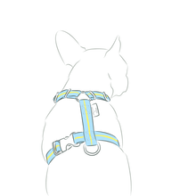 画像をギャラリービューアに読み込む, Strap Harness&Leash Set/ストラップハーネス&リードセット