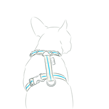 画像をギャラリービューアに読み込む, Strap Harness&Leash Set/ストラップハーネス&リードセット