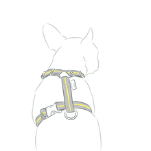 画像をギャラリービューアに読み込む, Strap Harness&Leash Set/ストラップハーネス&リードセット