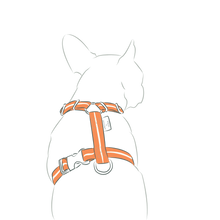 画像をギャラリービューアに読み込む, Strap Harness&Leash Set/ストラップハーネス&リードセット