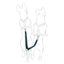 画像をギャラリービューアに読み込む, TWIN STRAP/2頭引きストラップ