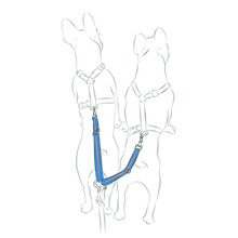 画像をギャラリービューアに読み込む, TWIN STRAP/2頭引きストラップ