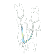 画像をギャラリービューアに読み込む, TWIN STRAP/2頭引きストラップ