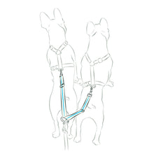 画像をギャラリービューアに読み込む, TWIN STRAP/2頭引きストラップ