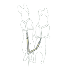 画像をギャラリービューアに読み込む, TWIN STRAP/2頭引きストラップ