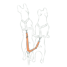画像をギャラリービューアに読み込む, TWIN STRAP/2頭引きストラップ