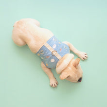 画像をギャラリービューアに読み込む, Into the Sky Harness Vest/イントゥザスカイハーネスベスト