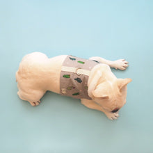 画像をギャラリービューアに読み込む, Cactus with You Harness Vest/カクタスウィズユーハーネスベスト