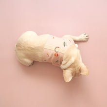 画像をギャラリービューアに読み込む, Space World Harness Vest/スペースワールドハーネスベスト