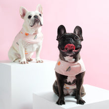 画像をギャラリービューアに読み込む, Space World Harness Vest/スペースワールドハーネスベスト