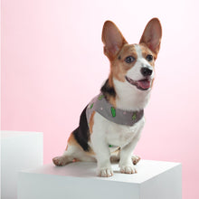 画像をギャラリービューアに読み込む, Cactus with You Harness Vest/カクタスウィズユーハーネスベスト