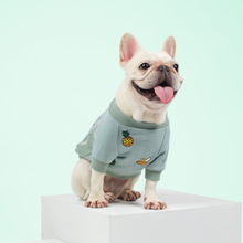 画像をギャラリービューアに読み込む, Tropical Fruits/トロピカルフルーツ